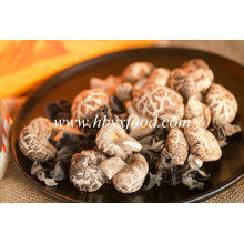 Dehydrated Vegetable Dried Tea Flower Mushroom